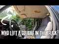 Replacing a crappy headliner in a Dodge Dakota