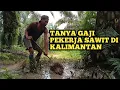 Download Lagu Tanya Gaji Pekerja Sawit Di Kalimantan ? ||TONE LOMBOK