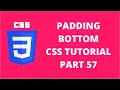 Padding Bottom Property CSS CSS Tutorial Part 57
