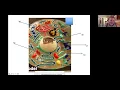 Anatomy 1 Practice Lab quiz for Lab exam 1