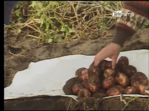 Ecuador Agropecuario 04-04-2017