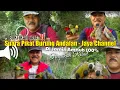 Download Lagu Suara Pikat Andalan JAYA CHANNEL - Segala Jenis Burung Kecil Mp3 100% Work