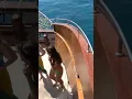 Download Lagu #Alanya Boat Trip - Gorgeous Boat Bunnies Indeed - Fantastic Views