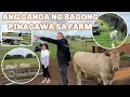 BUMILI NG MGA PANG REGALO | SOON MAY IBANG AALGAAN NA ANIMALS SA FARM | KUYA MAY SWELDO SA DADDY