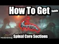 How To Get Spinal Core Sections GUIDE Warframe