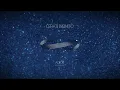 Gustavo Cerati - Adiós (Lyric Video)