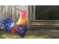 Rooster Painting Paint with Kevin Hill