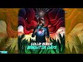 Collie Buddz -  Brighter Days