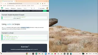 Bash Command Bash Echo Command Bash On A Chromebook