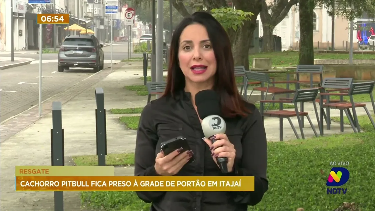 Cachorro pitbull é flagrado preso à grade de portão em Itajaí