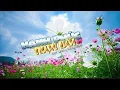 Download Lagu HẠNH PHÚC TRỌN ĐỜI - DUY LINH x HTM MEDIA - (Official Lyrics Video)