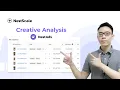 NestAds Creative Analysis Identify Key Drivers of Ad Performance