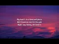 Warren Zeiders - Pain Killer (Lyrics)