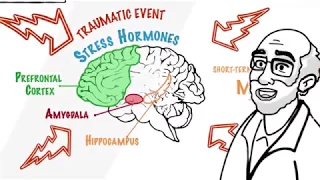 PTSD and the Brain