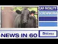 KRGV CHANNEL 5 NEWS Update - June 12