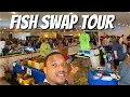 The RAREST Selection of Fish Quad City Fish Swap Tour