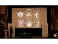Andreas Wanninger Evolutionary Developmental Morphology in the 21st Century
