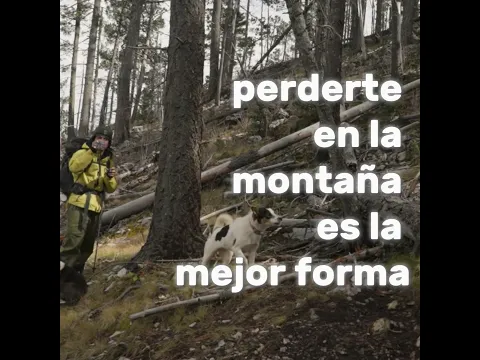 LA PAZ QUE TE DA LA MONTAÑA #shorts #viral #tendencia #shortsvideo #foryou