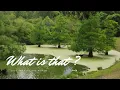 What s actually inside the Go Fish Center Honest Review Georgia USA