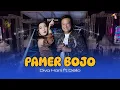 Download Lagu PAMER BOJO – DIVA HANI FT DELO | HUT KAB BLITAR 701 | VIRAL FYP TIKTOK