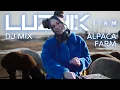 Download Lagu Luzhik Live DJ Mix – Techno in the Wild w/ Alpacas (Canada 2025) [4K]