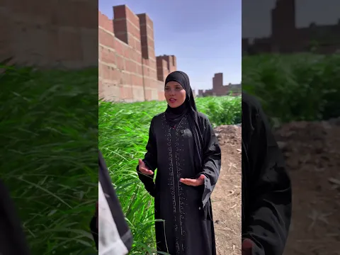كلام الناس مبيخلصش لازم تبقا واثق من نفسك 👌🎭