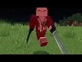 I Evolved GEAR 5 Luffy in Minecraft!