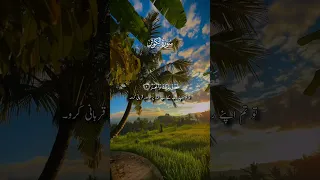 Surah Al Kawthar Surahkausar Shorts 