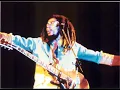 Bob Marley - The Heathen [Live]