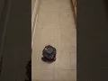 Turtlebot3 Following Figure-8 Trajectory Real World
