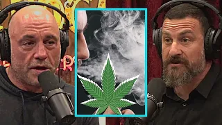 Download Joe Rogan and Neuroscientist Dr Huberman blow your mind about Weed and How it affects Brain and Body MP3