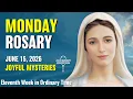 Monday Rosary Joyful Mysteries of the Rosary June 15 2026 VIRTUAL ROSARY