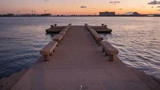 يا بلادي حبك موالي أحمد فكرون 