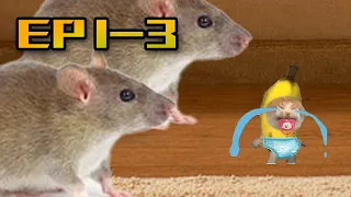 EP 1-3 : MINI BANANA CAT 🍌🐱 BAD LUCK 😿 VIDEOS 🐭 ( 2 MINUTES )