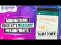 Download Lagu Cara Merubah Suara Voice Note WhatsApp Jadi Wanita