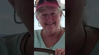 Why get sailing experience on Britican?! #shorts