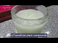 Soursop Bitters Review: A Doctor's Honest Opinion