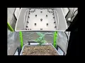 Setting up a City Pickers SIP with Amended Buildasoil 3 0 Viparspectra xs 1500 Pro in 2x2 Quictent