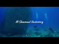 Download Lagu Nasheed - Al Shamaal Humming