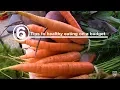 Mayo Clinic Minute 6 tips to healthy eating on a budget