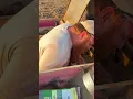 Planting sweet corn with the Cole duplex planter