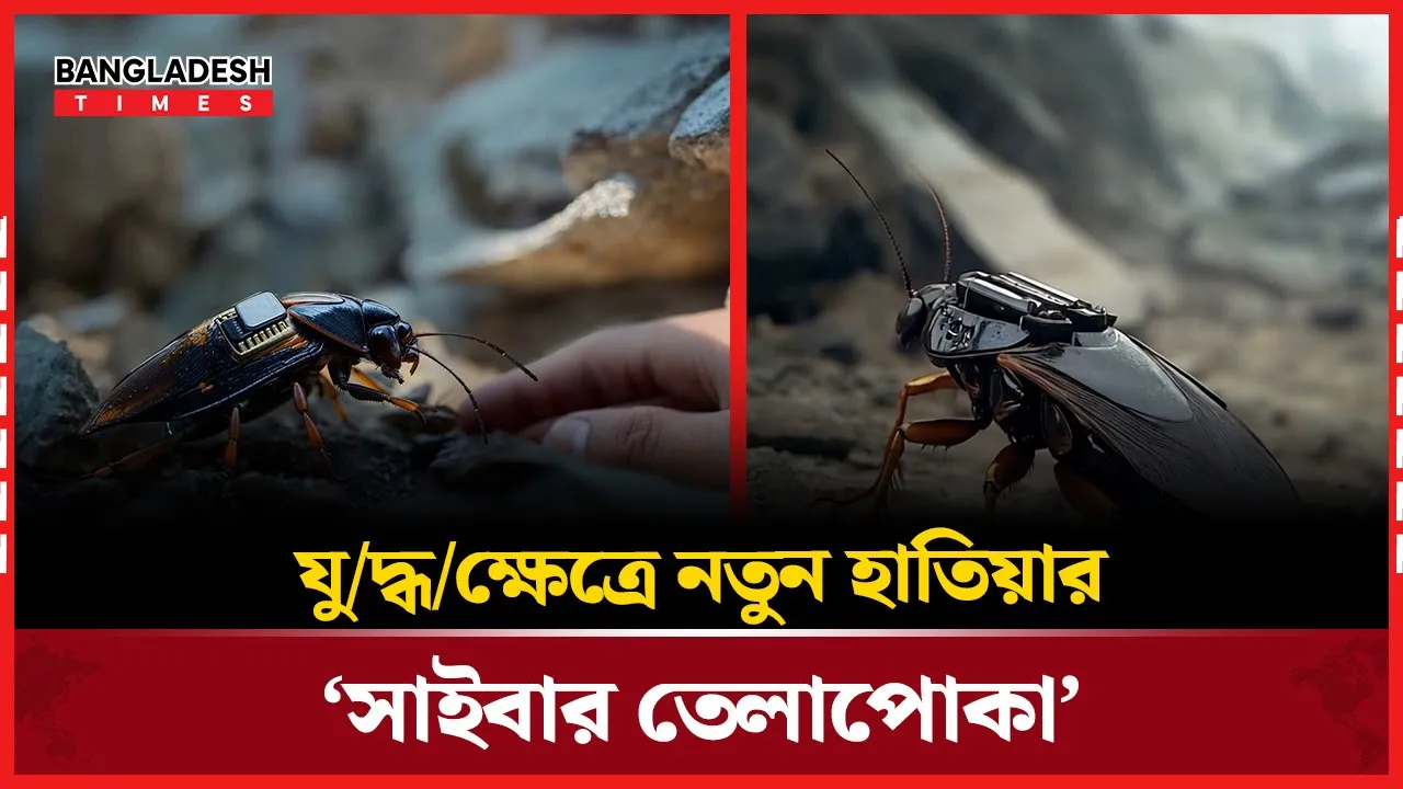যুদ্ধের মাঠে নামছে তেলাপোকা, জার্মানির চমকে দেওয়া প্রযুক্তি উদ্ভাবন