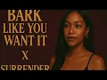 BARK LIKE YOU WANT IT X SURRENDER - KUTKLOSE  (TIKTOK MASHUP) by Dj Royal