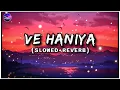 Download Lagu Ve Haaniyaan (Slowed + Reverb) | Ve Haniya Ve Dil Janiya | Danny | Lofi Music World |