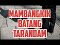 Download Lagu Mambangkik Batang Tarandam: Pepatah Minang yang Mengajarkan Untuk Bangkit Kembali