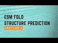 ESM Fold Structure Prediction