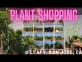 Welcome to the Jungle plant shopping at Leafy in San Jose CA