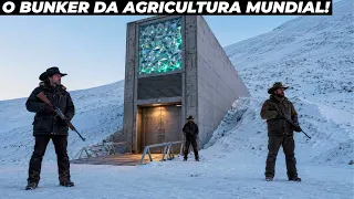 Cofre do fim do mundo guarda sementes de forma impressionante