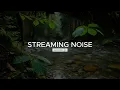 Calming Forest Ambience  Birds Singing & Beautiful Stream Sounds for Peaceful Sleep,ASMR Study Focus