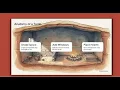 The Oasis Civilization